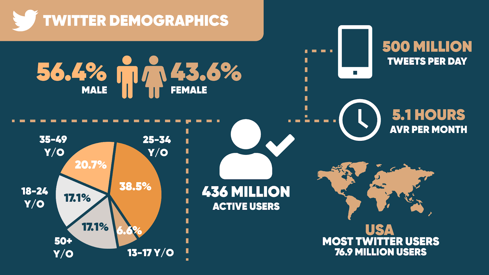 twitter demographics